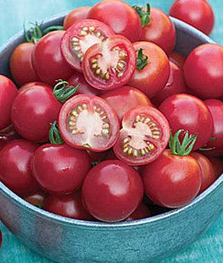 Rosella Hybrid Cherry Tomato